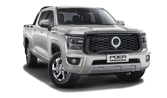 Great Wall Poer KingKong
