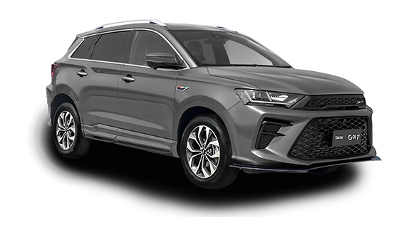 SWM G01F Бордовый