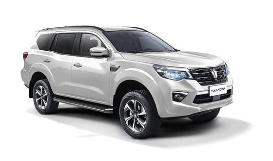 Oting Paladin Чёрный / Black