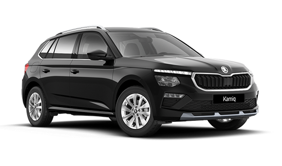 Skoda Kamiq Красный