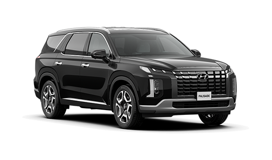 Hyundai Palisade New Бургунди / Sierra Bu