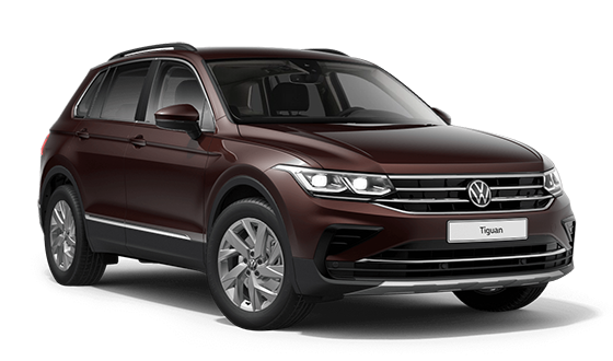 Volkswagen Tiguan New Серый / Indium
