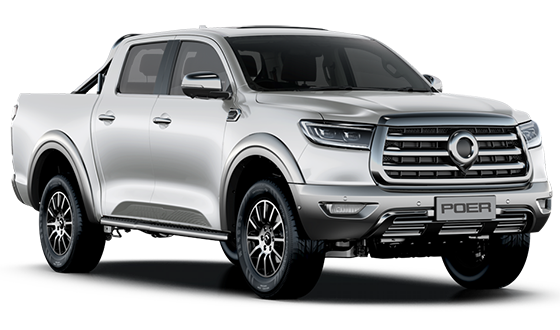 Great Wall Poer Синий / Blue