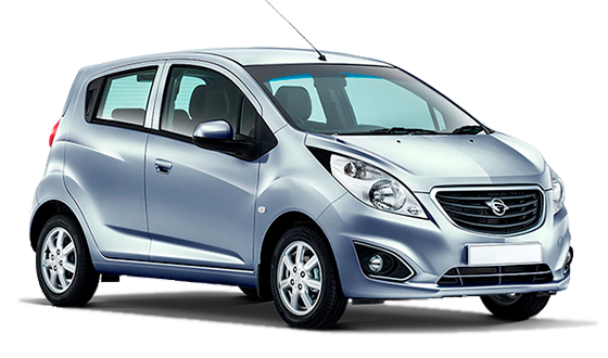 Ravon R2 Коричневый / Braun