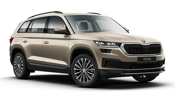 Skoda Kodiaq New Чёрный / Magic
