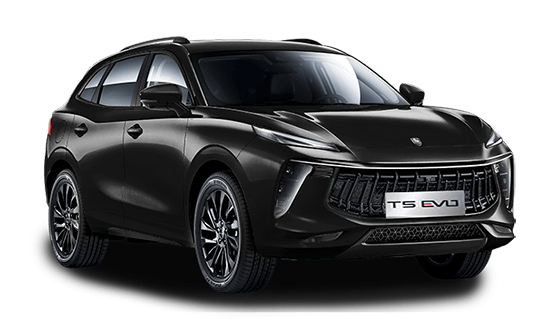 Forthing T5 EVO Белый